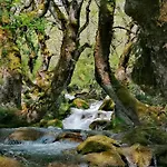 Alex House Gorgogiri