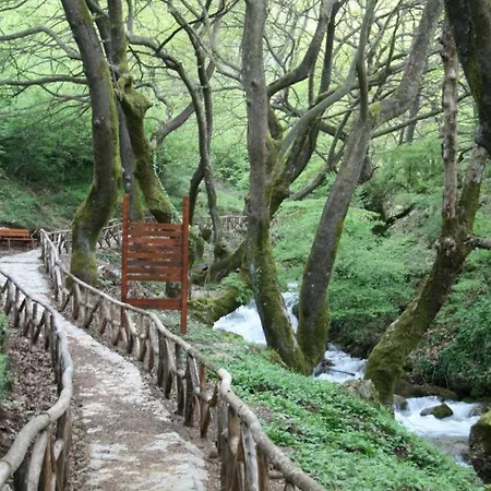 Дом отдыха Alex House Gorgogiri